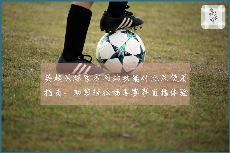 英超买球官方网站功能对比及使用指南，助您轻松畅享赛事直播体验