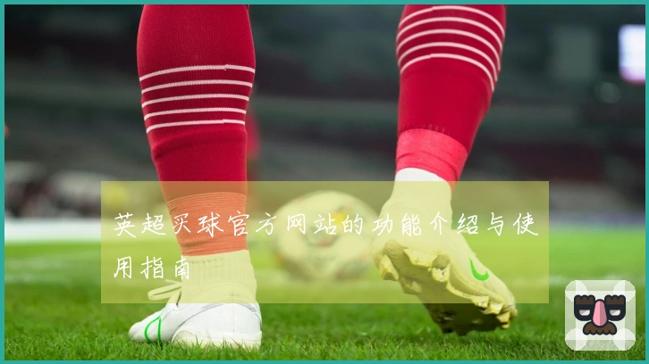 英超买球官方网站的功能介绍与使用指南