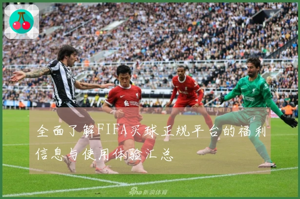 全面了解FIFA买球正规平台的福利信息与使用体验汇总