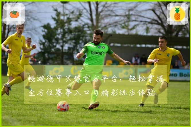 畅游德甲买球官方平台，轻松掌握全方位赛事入口与精彩玩法体验