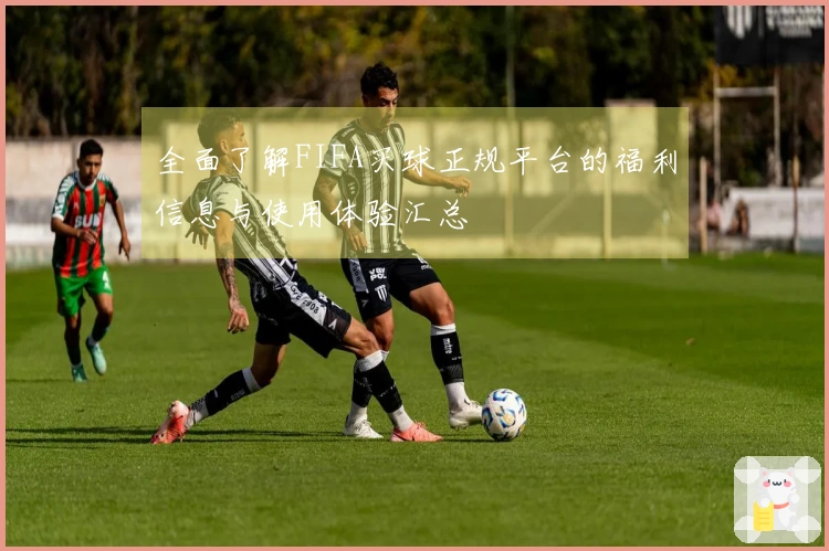 全面了解FIFA买球正规平台的福利信息与使用体验汇总
