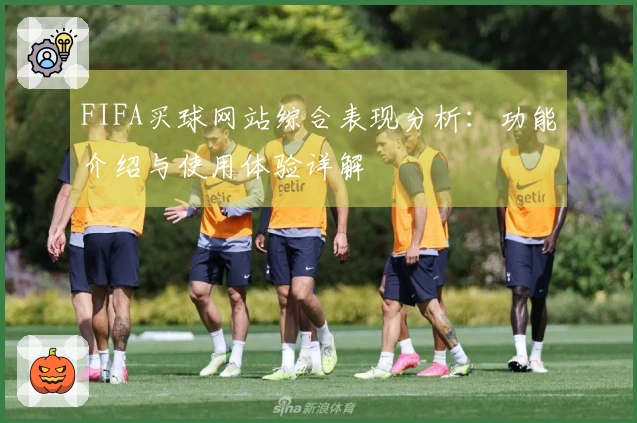FIFA买球网站综合表现分析：功能介绍与使用体验详解
