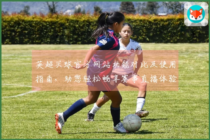 英超买球官方网站功能对比及使用指南，助您轻松畅享赛事直播体验