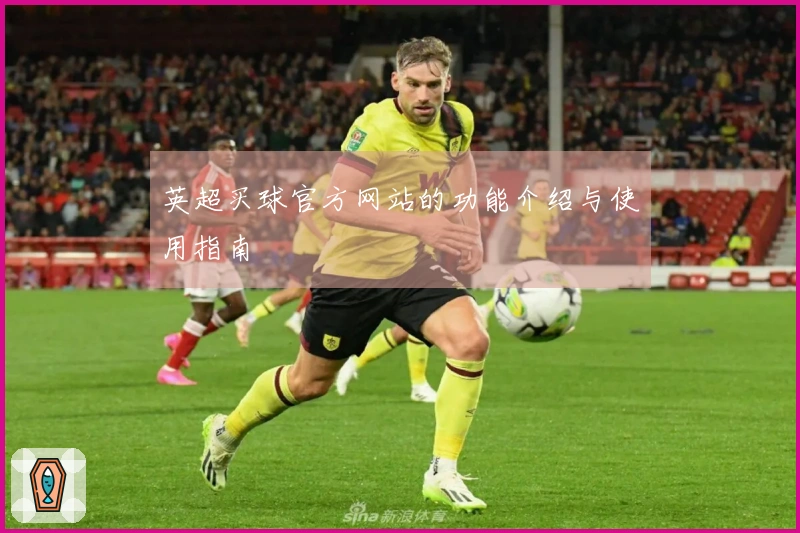 英超买球官方网站的功能介绍与使用指南