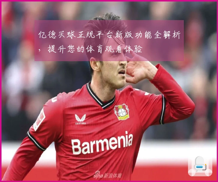 亿德买球正规平台新版功能全解析，提升您的体育观看体验