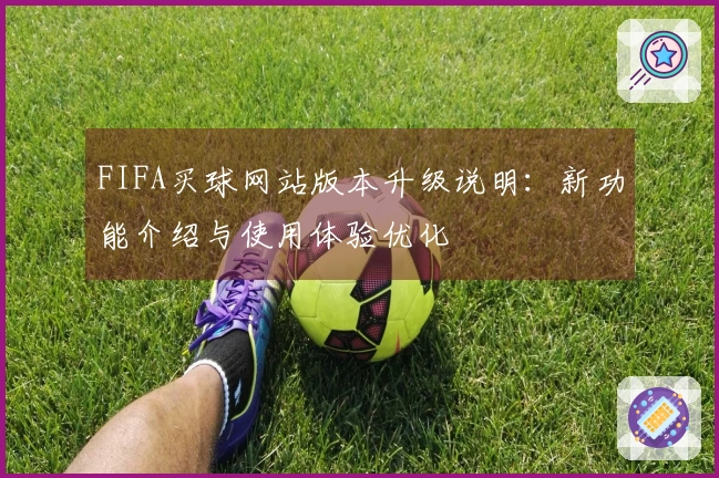 FIFA买球网站版本升级说明：新功能介绍与使用体验优化