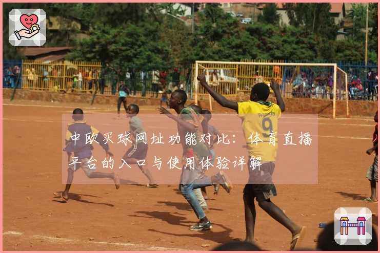 中欧买球网址功能对比：体育直播平台的入口与使用体验详解
